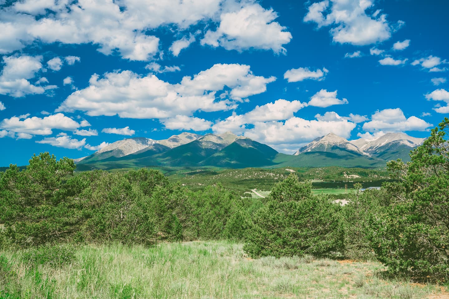 The Late Greats — 8