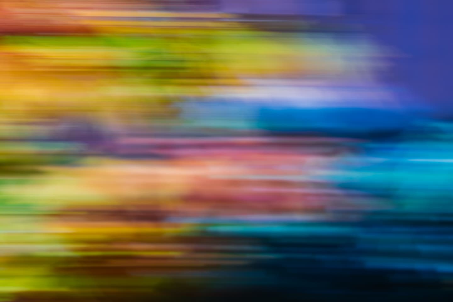 The Past year has been a blur